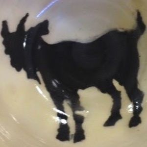 Meet your Posher, Lily